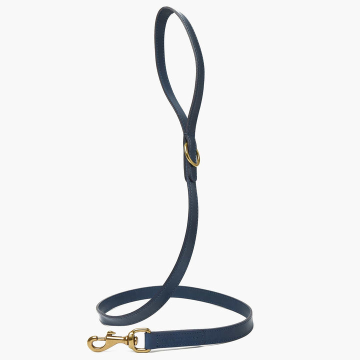 Hand-Stitched Premium Leather Dog Collar & Lead Set in Marine Blue with Brass Hardware