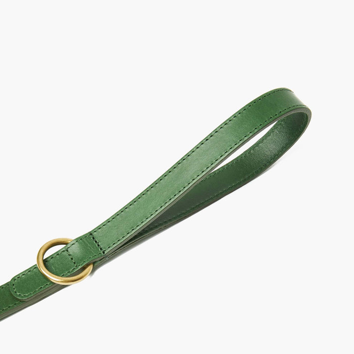 Hand-Stitched Premium Leather Dog Lead in Avocado Green with Brass Hardware