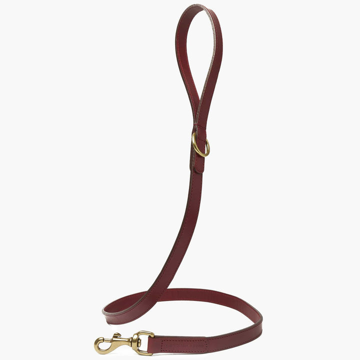 Hand-Stitched Premium Leather Dog Collar & Lead Set in Cherry Red with Brass Hardware