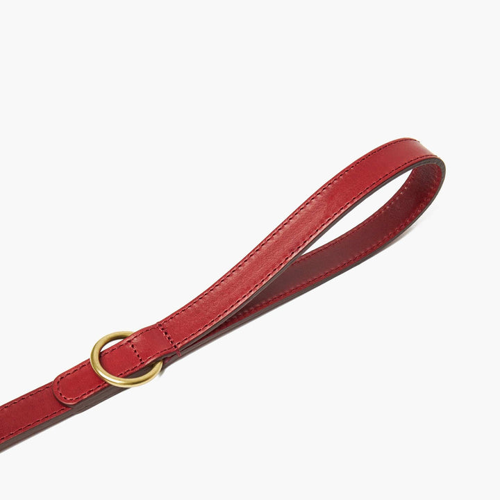 Hand-Stitched Premium Leather Dog Lead in Cherry Red with Brass Hardware