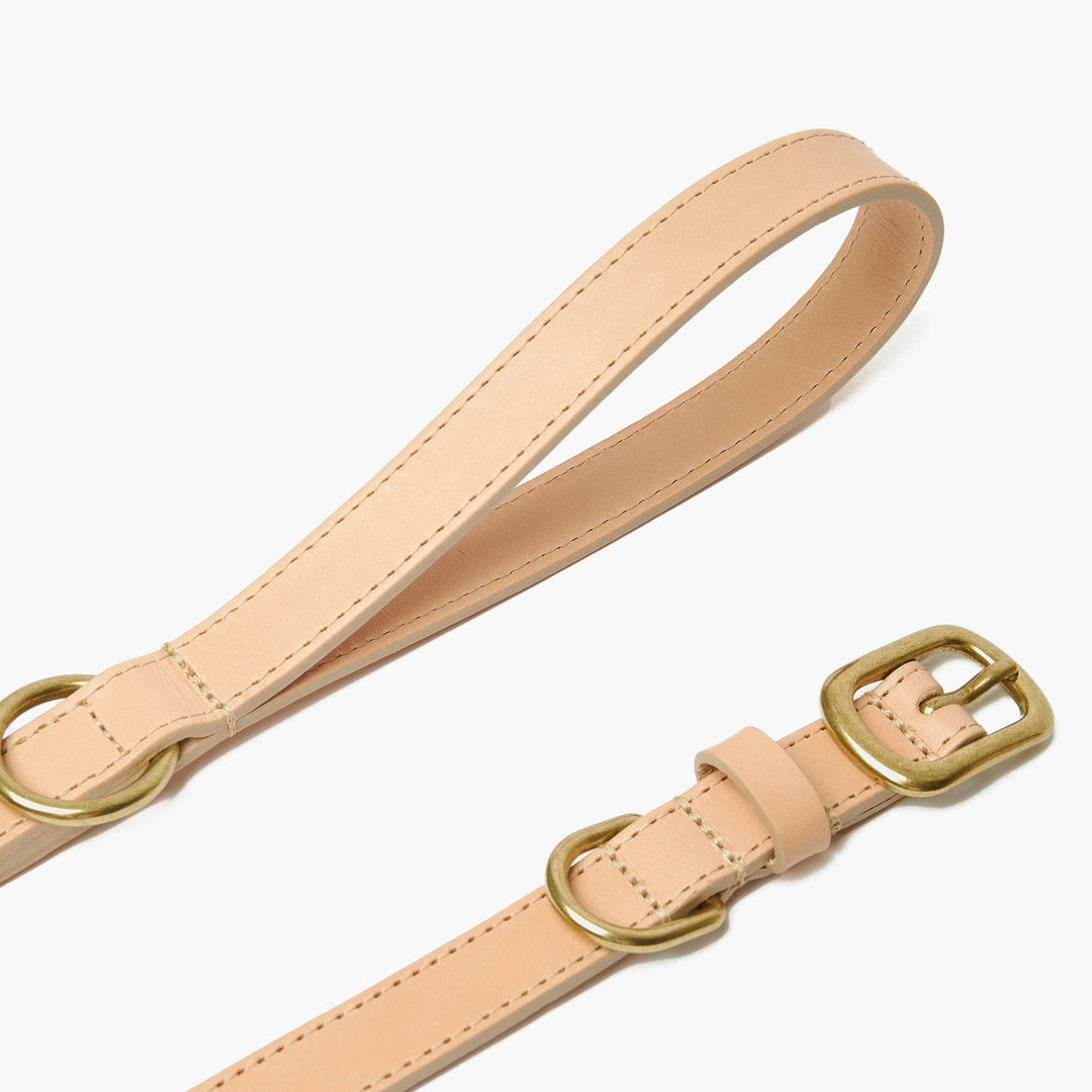 Hand-Stitched Premium Leather Dog Collar & Lead Set in Natural with Brass Hardware