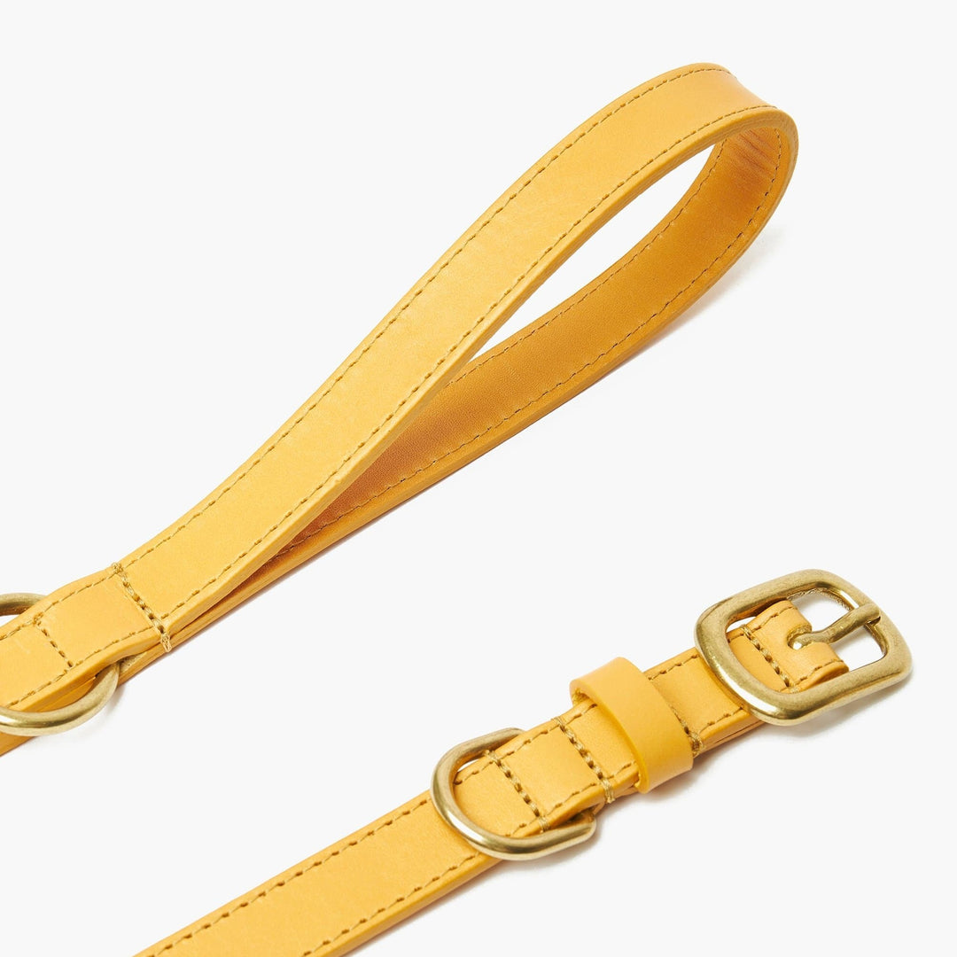 Hand-Stitched Premium Leather Dog Collar & Lead Set in Mustard Yellow with Brass Hardware