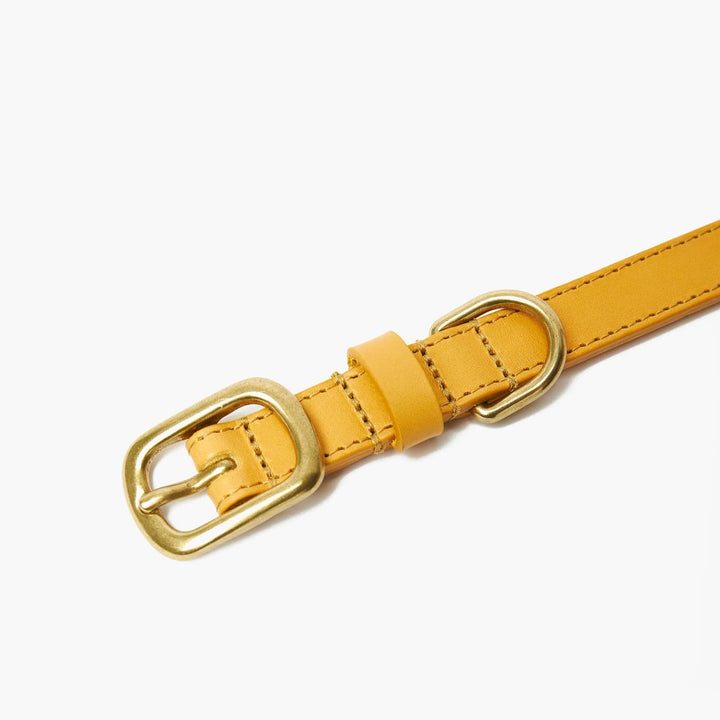 Hand-Stitched Premium Leather Dog Collar in Mustard Yellow with Brass Hardware