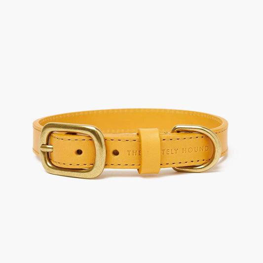 Amber Yellow Leather Dog Collar with Gold Buckle