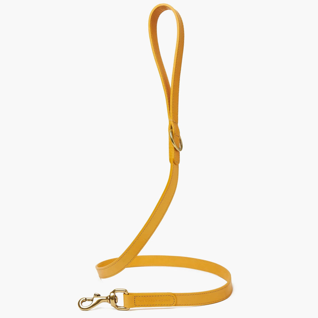 Hand-Stitched Premium Leather Dog Collar & Lead Set in Mustard Yellow with Brass Hardware