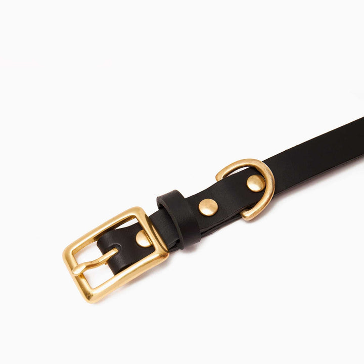 Brass Riveted Leather Dog Collar in Black