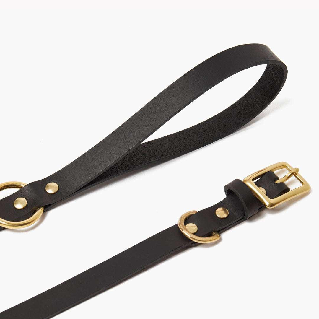 Brass Riveted Leather Dog Collar & Lead Set in Black