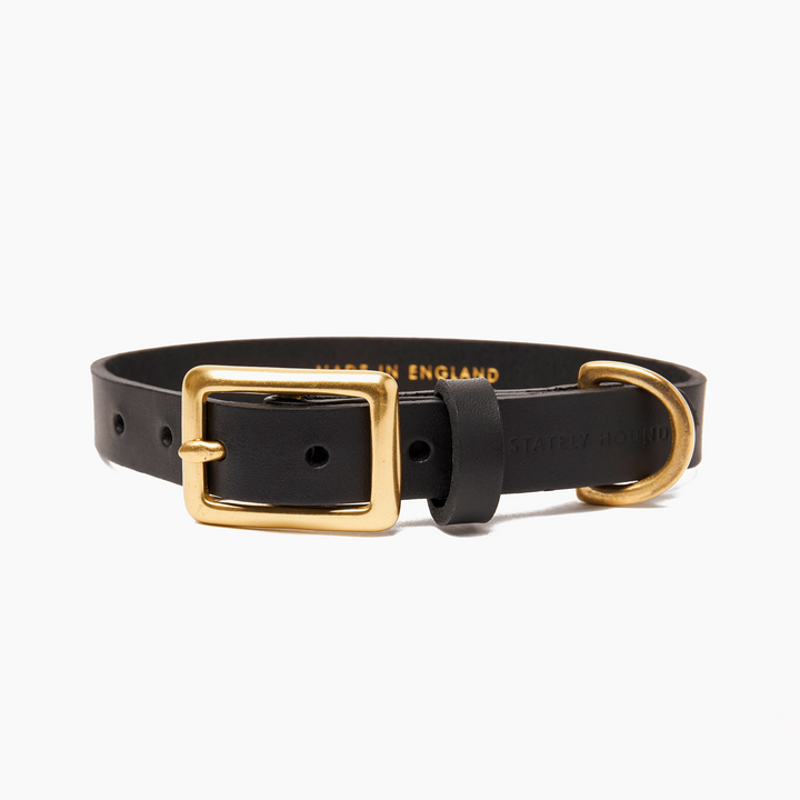 Brass Riveted Leather Dog Collar in Black