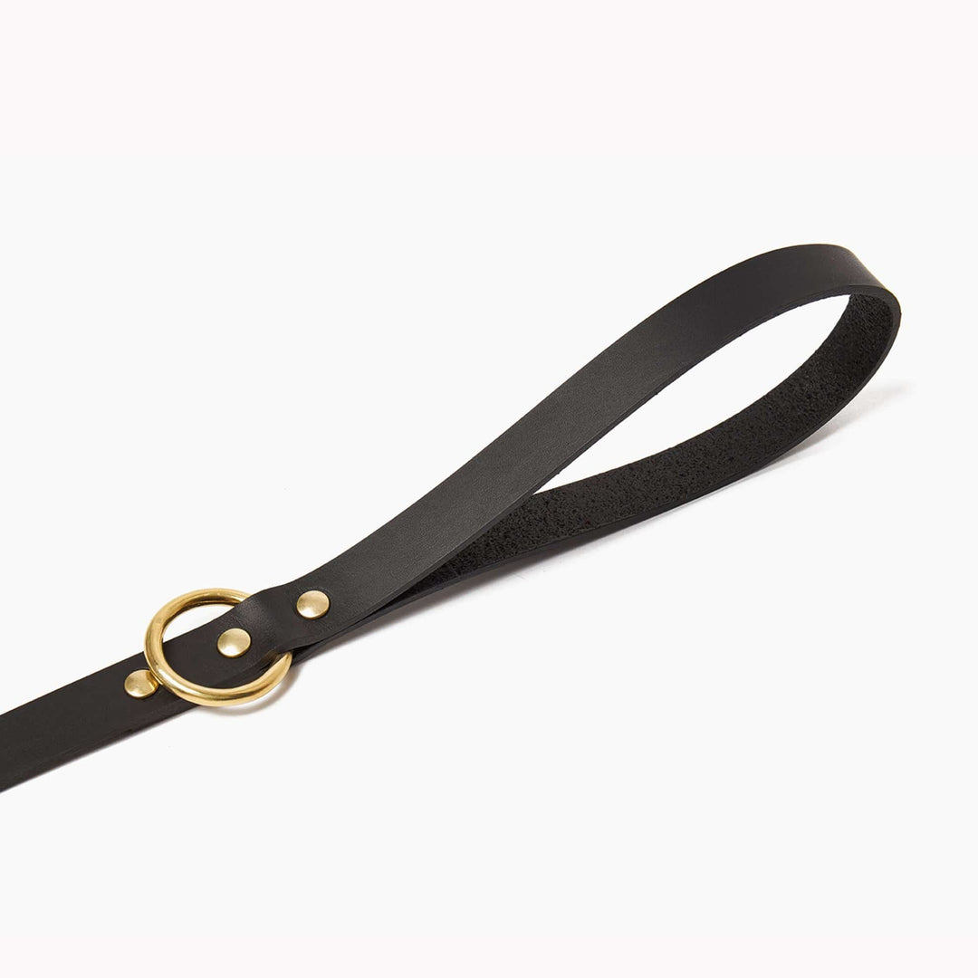 Brass Riveted Leather Dog Lead in Black