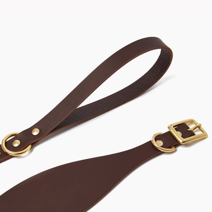 Brass Riveted Leather Sighthound Collar & Lead Set in Brown