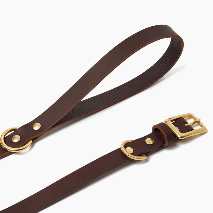 Brass Riveted Leather Dog Collar & Lead Set in Brown