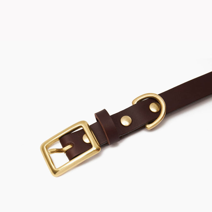 Brass Riveted Leather Dog Collar in Dark Brown