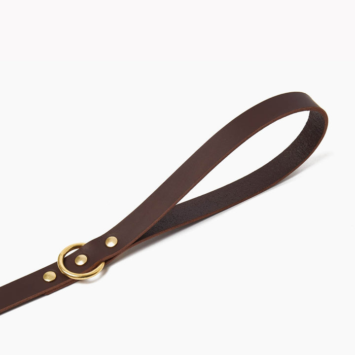 Brass Riveted Leather Dog Lead in Dark Brown