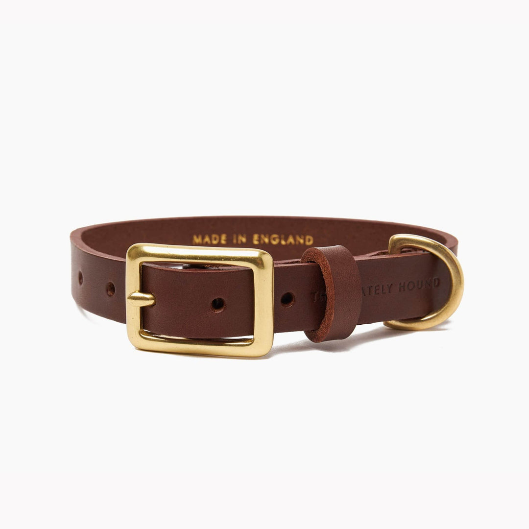 Brass Riveted Leather Dog Collar in Chestnut Brown