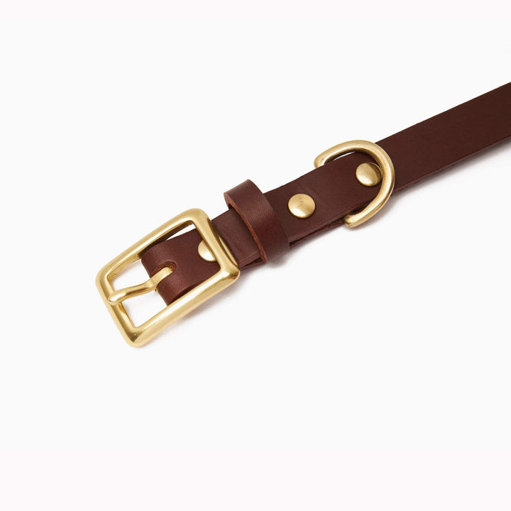 Brass Riveted Leather Dog Collar & Lead Set in Chestnut