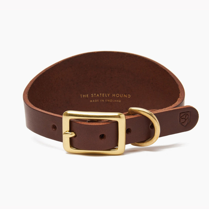 Brass Riveted Leather Sighthound Collar in Chestnut Brown