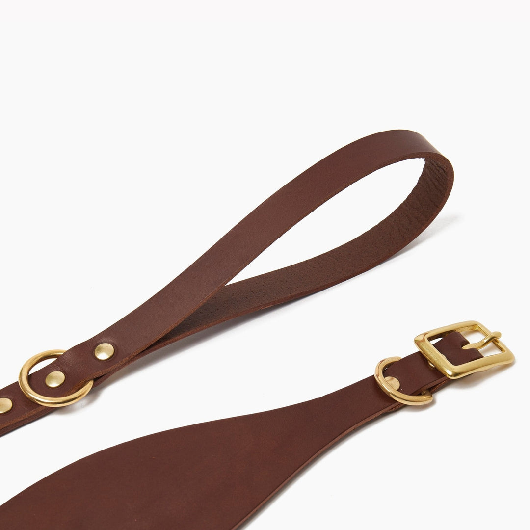 Brass Riveted Leather Sighthound Collar & Lead Set in Chestnut Brown