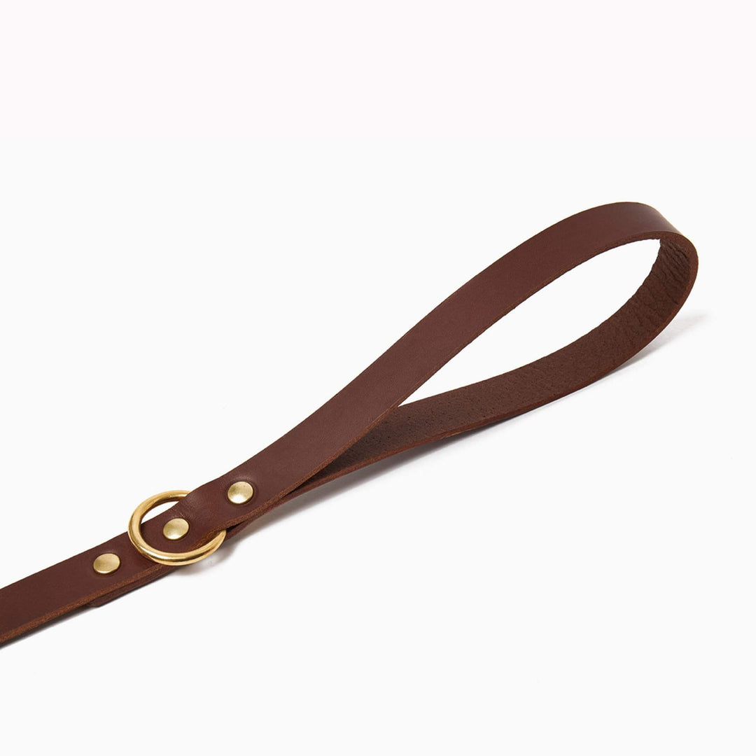Brass Riveted Leather Dog Lead in Chestnut Brown