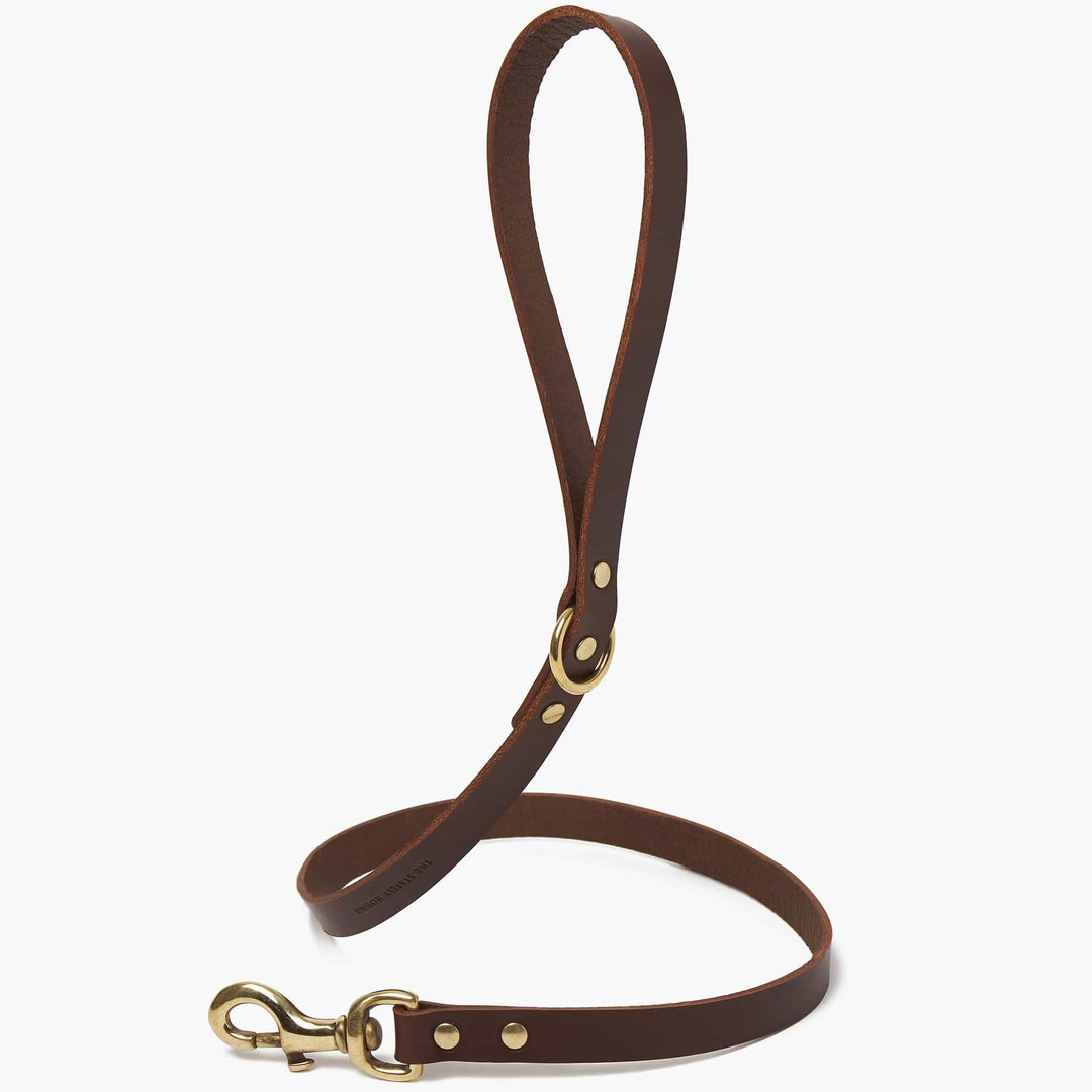 Brass Riveted Leather Dog Collar & Lead Set in Chestnut