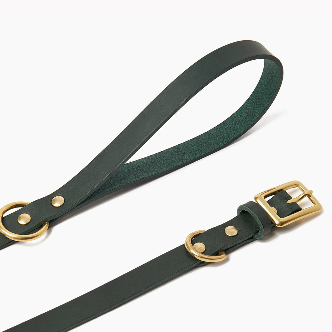 Brass Riveted Leather Dog Collar & Lead Set in Bottle Green