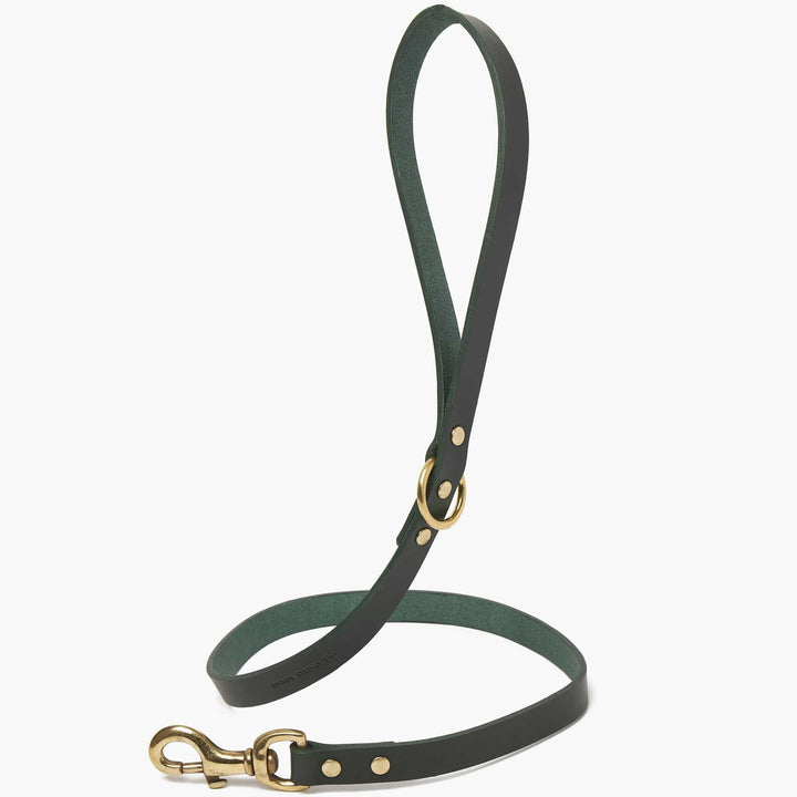 Brass Riveted Leather Dog Lead in Bottle Green