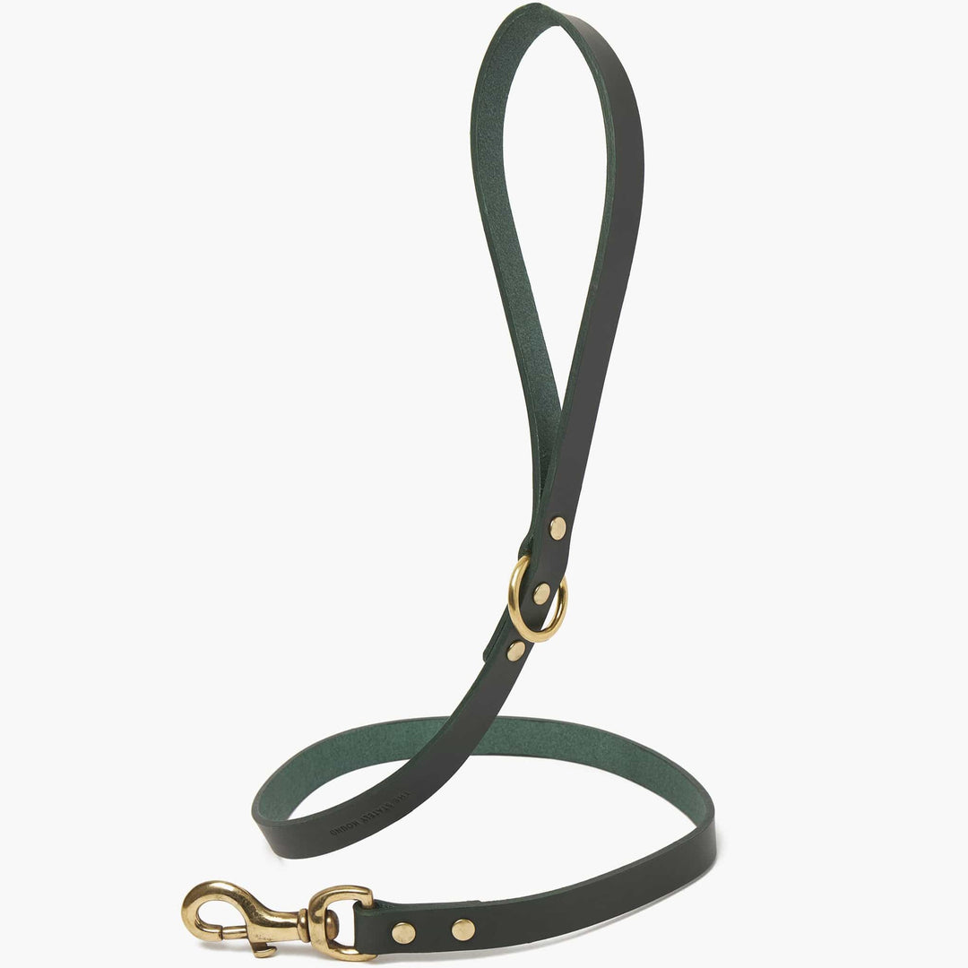 Brass Riveted Leather Dog Collar & Lead Set in Bottle Green