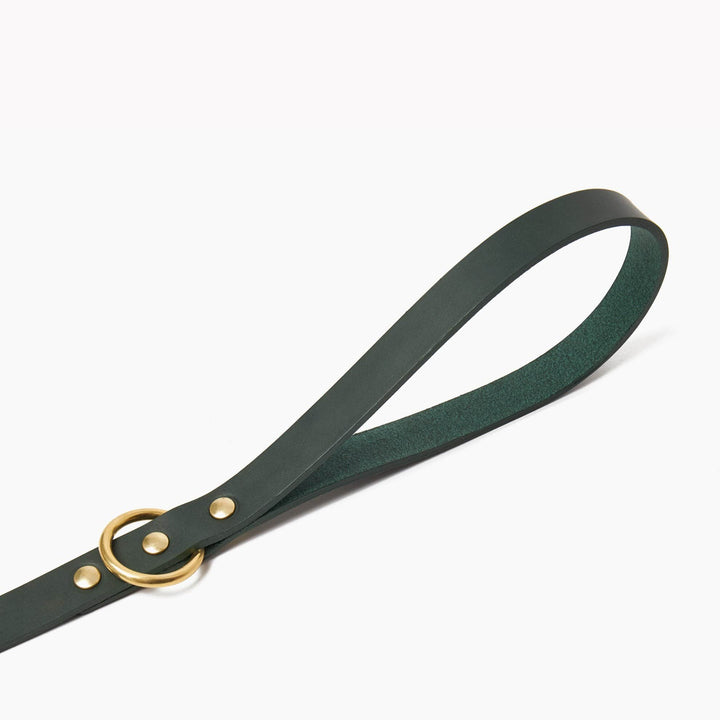 Brass Riveted Leather Dog Lead in Bottle Green