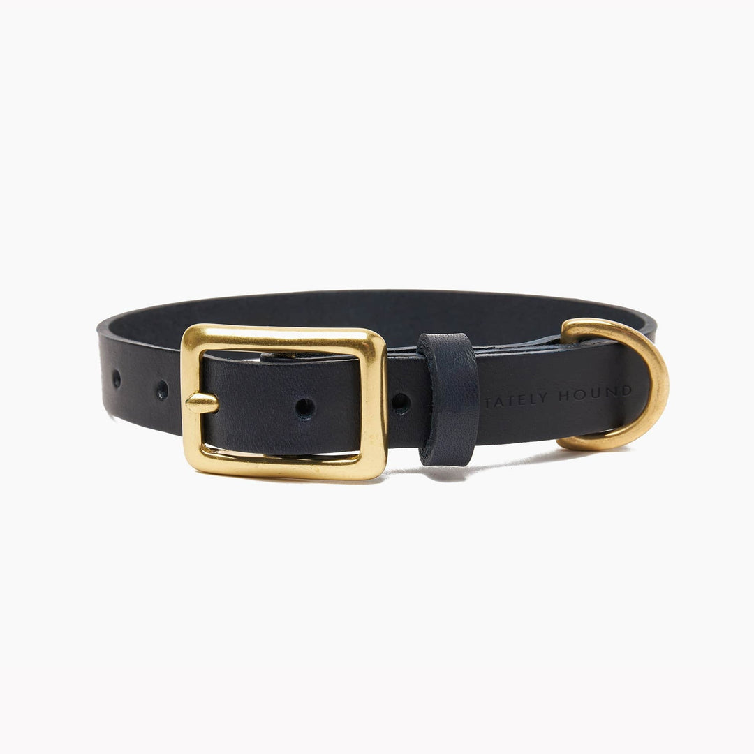 Brass Riveted Leather Dog Collar & Lead Set in Navy Blue