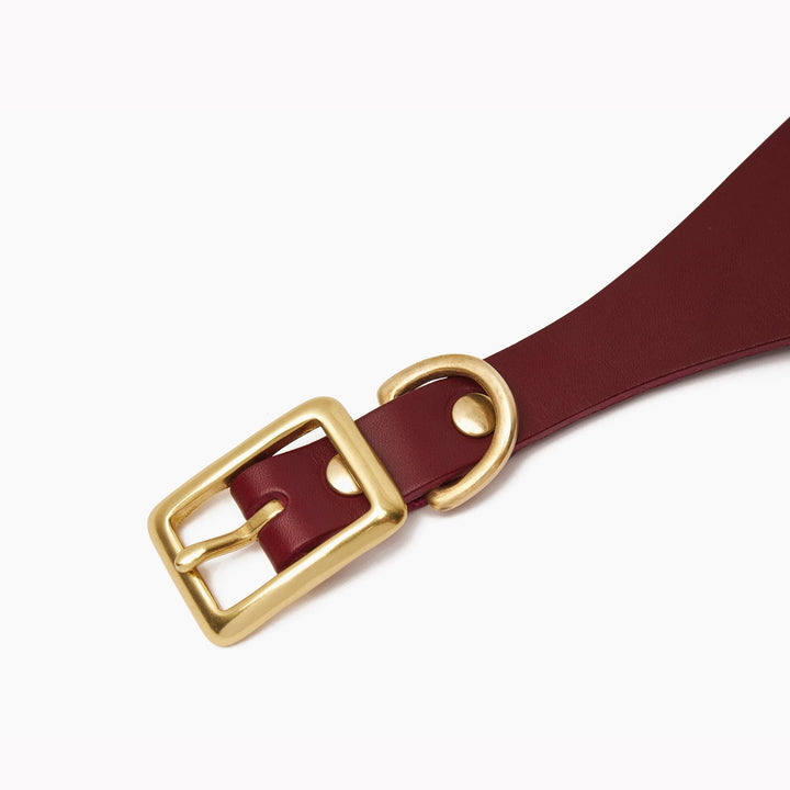 Brass Riveted Leather Sighthound Collar in Ox Red