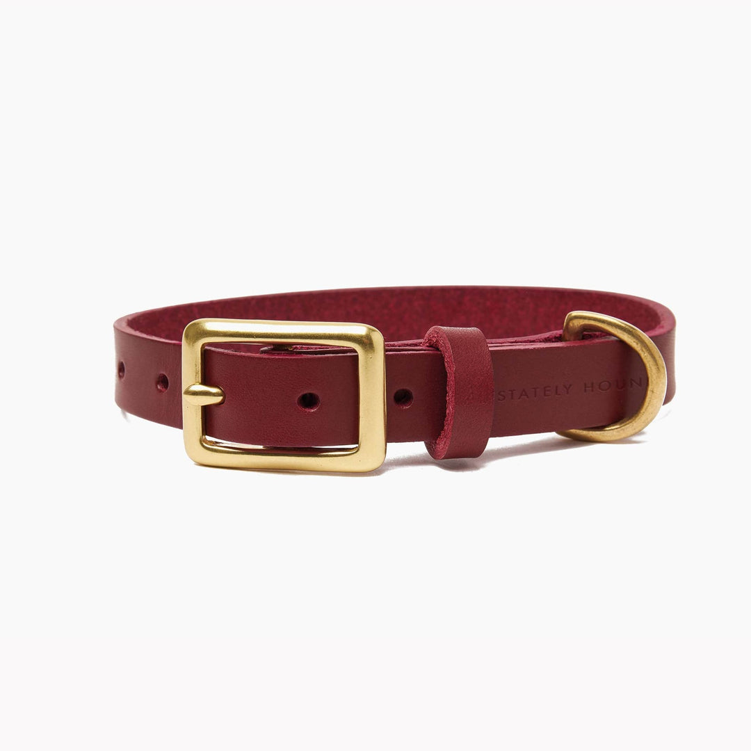 Brass Riveted Leather Dog Collar & Lead Set in Ox Red
