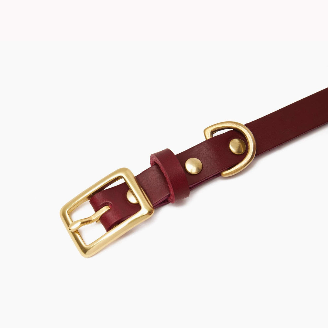 Personalised Ox Red Leather Dog Collar with Solid Brass Buckle - Handcrafted in the UK