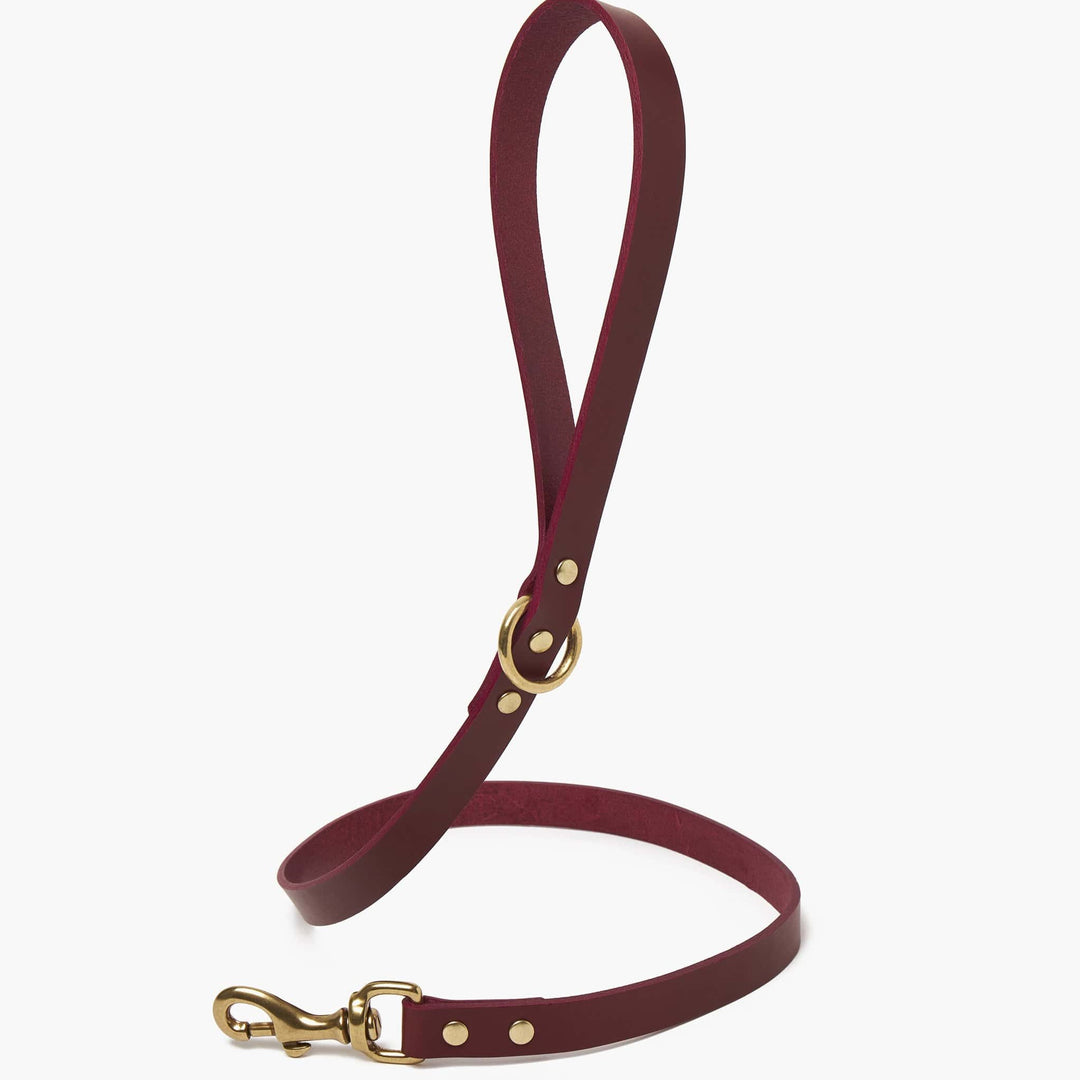 Brass Riveted Leather Sighthound Collar & Lead Set in Ox Red
