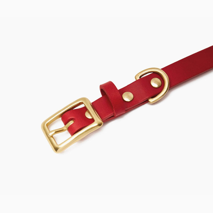Brass Riveted Leather Dog Collar in Pillarbox Red