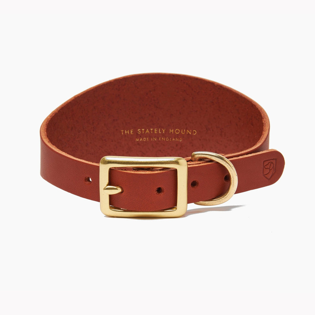 Brass Riveted Leather Sighthound Collar in Tan