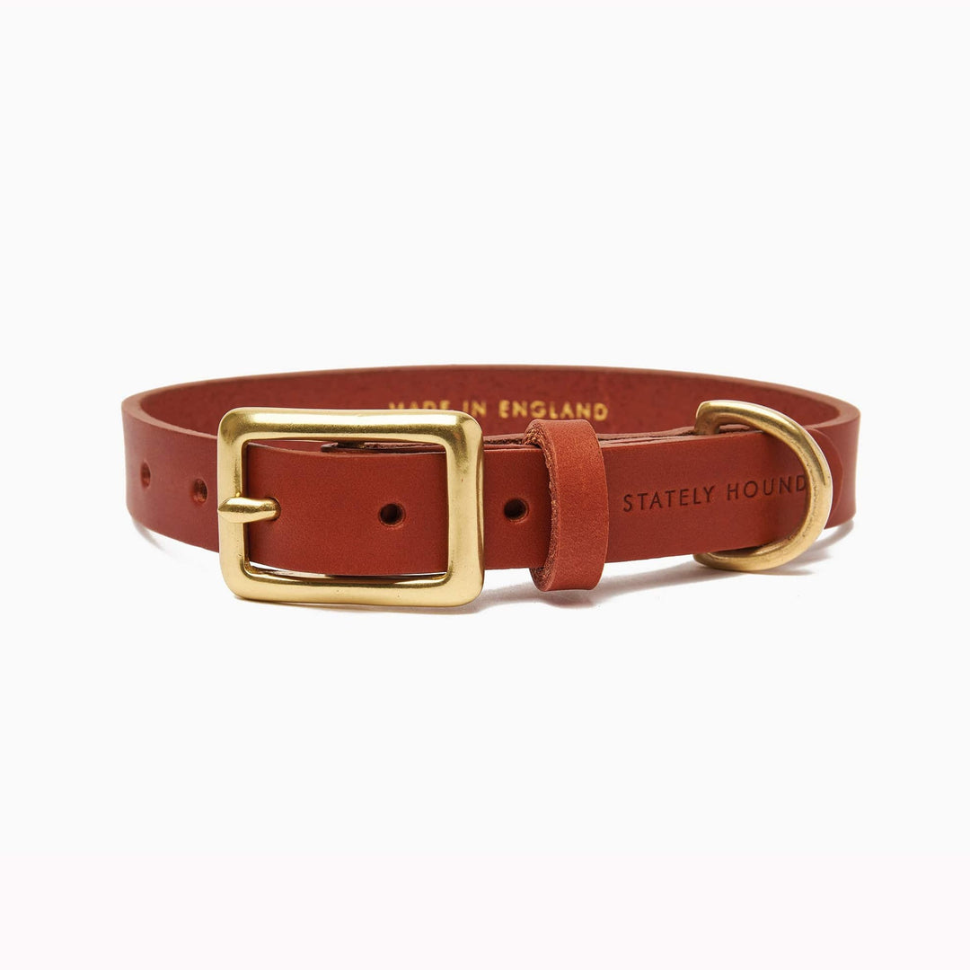 Brass Riveted Leather Dog Collar & Lead Set in Tan
