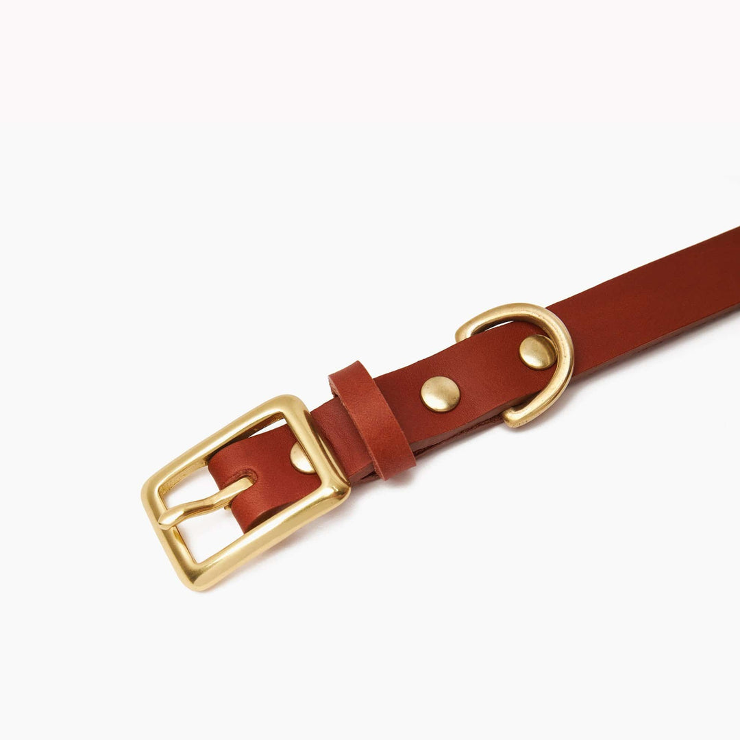 Brass Riveted Leather Dog Collar in Tan