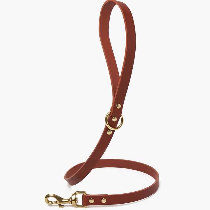 Brass Riveted Leather Dog Collar & Lead Set in Tan