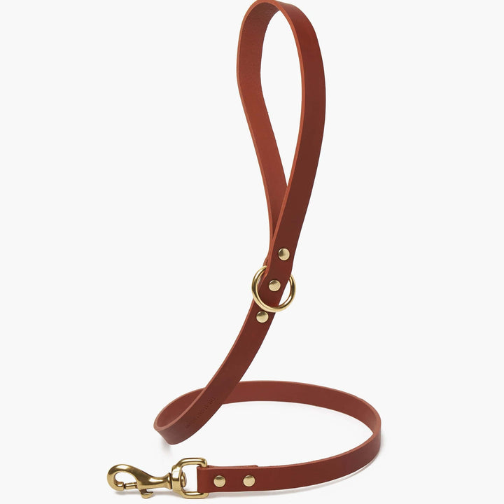 Brass Riveted Leather Dog Lead in Tan