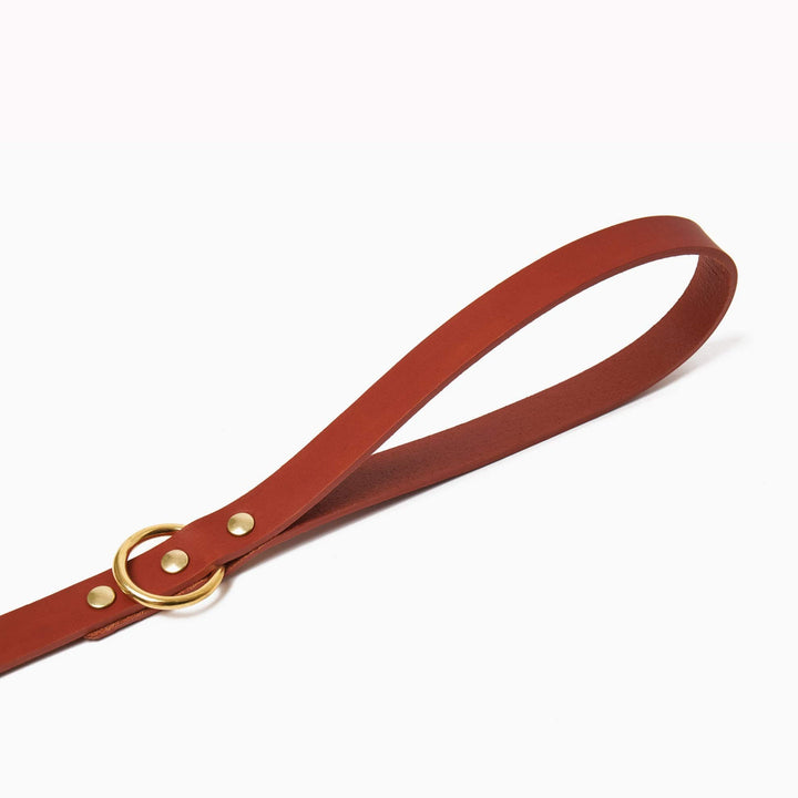 Brass Riveted Leather Dog Lead in Tan