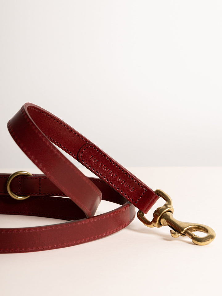 Hand-Stitched Premium Leather Dog Lead in Cherry Red with Brass Hardware