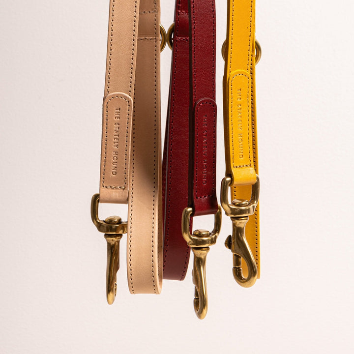Hand-Stitched Premium Leather Dog Collar in Mustard Yellow with Brass Hardware