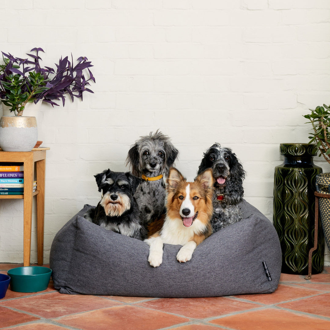 Luxury Grey Dog Bed with Raised Bolsters: The Perfect Place for Your Pet to Relax