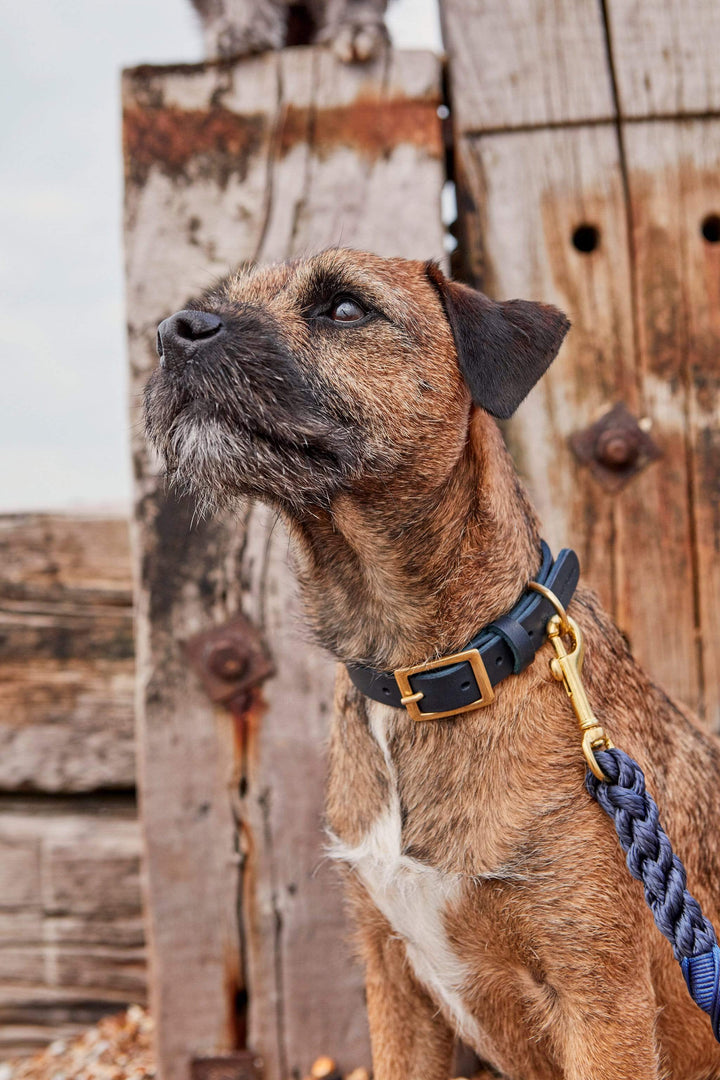 Personalised Dark Blue Leather Dog Collar with Solid Brass Buckle - Handcrafted in the UK