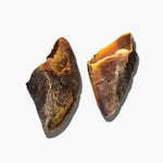 Cow Hooves Dog Chews | Long-Lasting, Natural, & Perfect for Chewing The Stately Hound