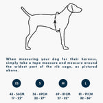 Flagline Adventure Dog Harness – Lightweight, Secure & All-Day Comfort | Blue Dusk The Stately Hound
