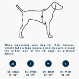 Flagline Adventure Dog Harness – Lightweight, Secure & All-Day Comfort | Blue Dusk The Stately Hound