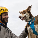 Flagline Adventure Dog Harness – Lightweight, Secure & All-Day Comfort | Blue Dusk The Stately Hound