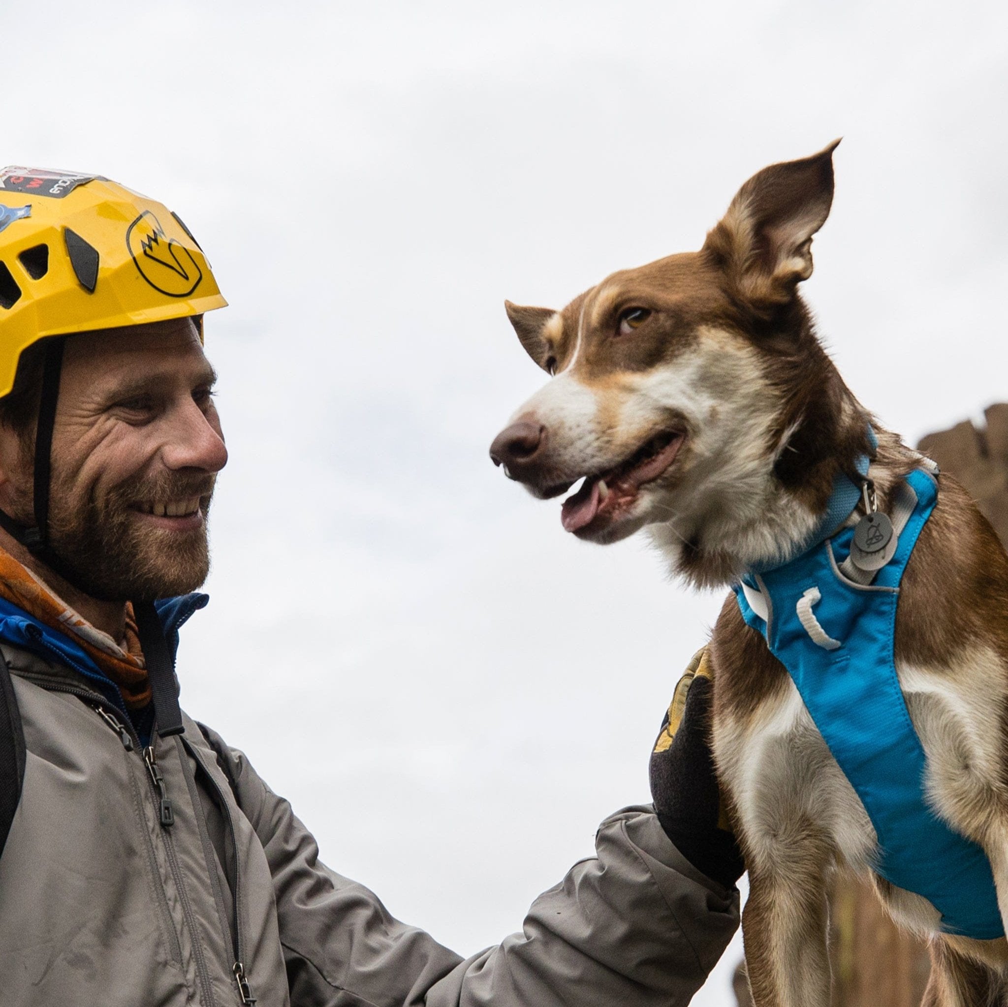 Flagline Adventure Dog Harness – Lightweight, Secure & All-Day Comfort | Blue Dusk The Stately Hound