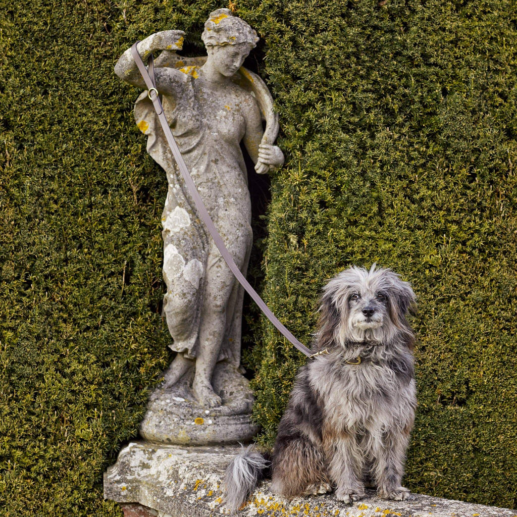 Luxury Taupe Grey Leather Dog Collar with Center Ring, Handmade in the UK