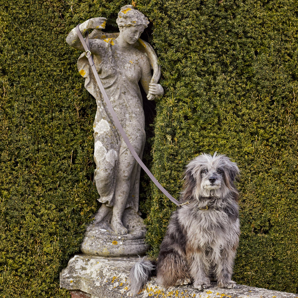 Luxury Taupe Grey Leather Dog Lead & Stitch Detailing, Handmade in the UK